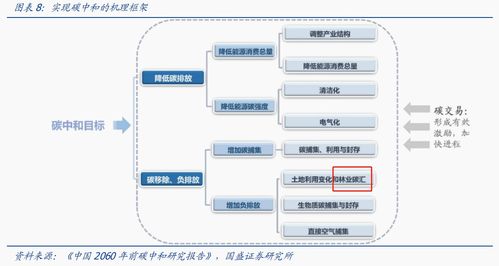 政策利好频频 林业碳汇有望重点受益ccer重启 这些上市公司布局相关业务